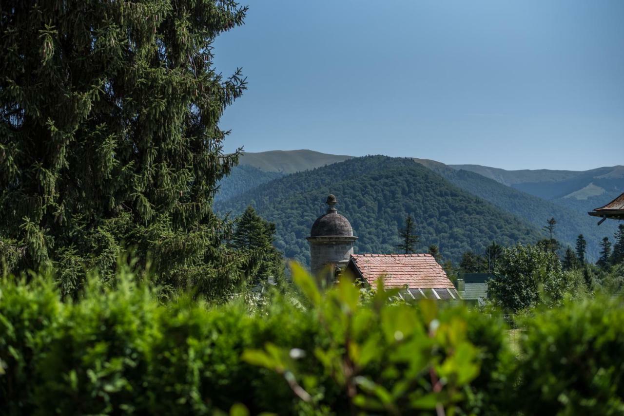 Uphill Residence Сіная Екстер'єр фото